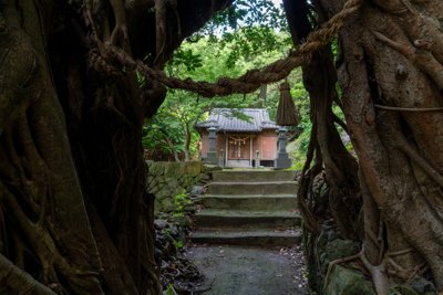五島列島に息づく神秘の聖域：古木と注連縄が誘う静寂の神社