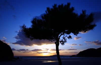 長崎五島列島、夕焼けに染まるビーチと松の木の神秘的なシルエット