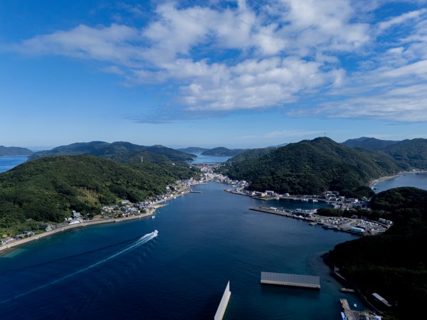 奈留島の港と緑豊かな山々を望む空撮風景