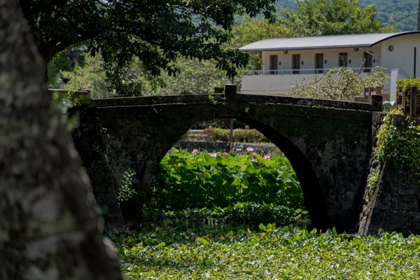 石田城の石橋と蓮の花が咲く水辺の風景