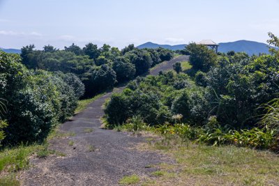 五島列島 初夏の青空と展望台へ続く癒しの緑道